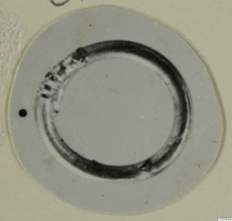 Ring from Marion photographed on a round light card, with a notched band along its upper-left arc.