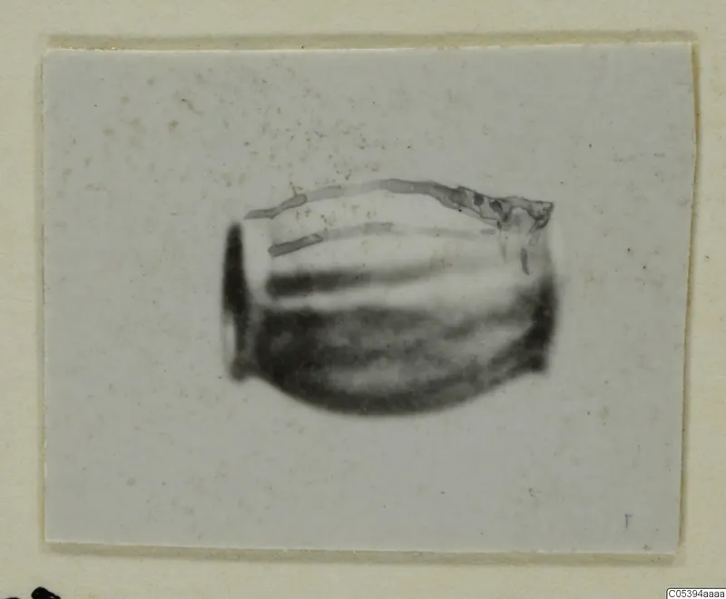 Blurred photograph of a rounded object with a thin irregular line along its upper edge, mounted on a card, from Marion