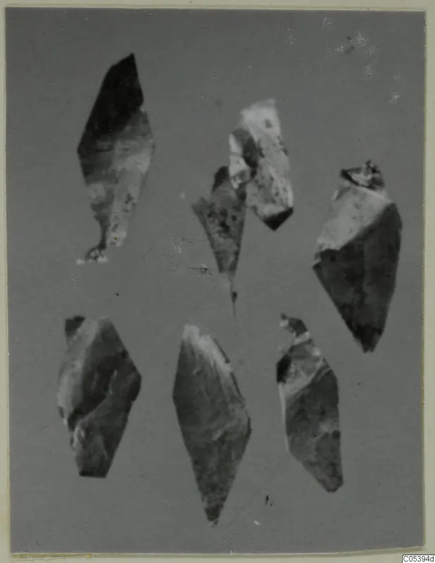 Seven angular fragments of a thin, flaky object laid out on a plain grey background, from Marion Tomb 9