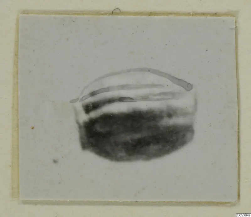 Blurred photograph of a dark oval object with pale curved lines, mounted on a pale card, from Marion.