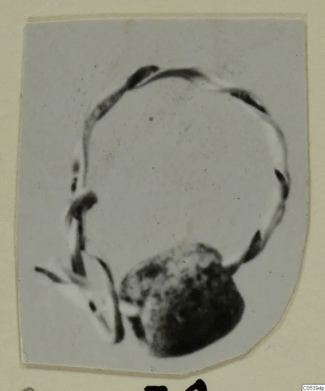 Blurred photograph of a thin wire loop with a dark bead-like object, from Marion, Tomb 9