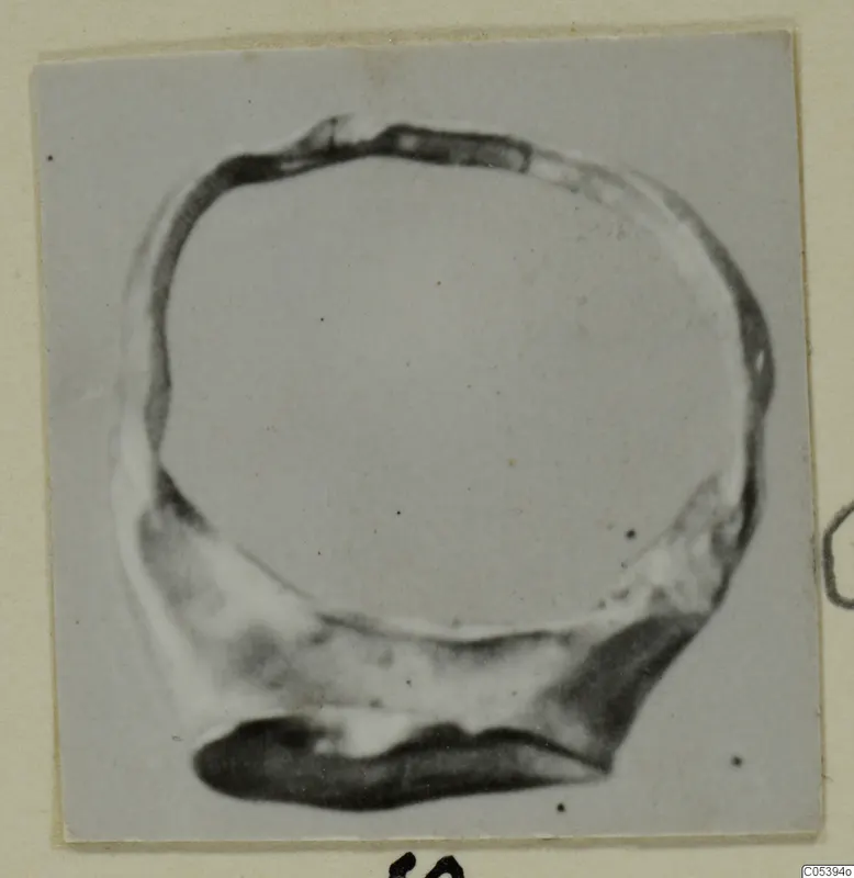 Ring from Tomb 9 at Marion, seen against a pale grey background