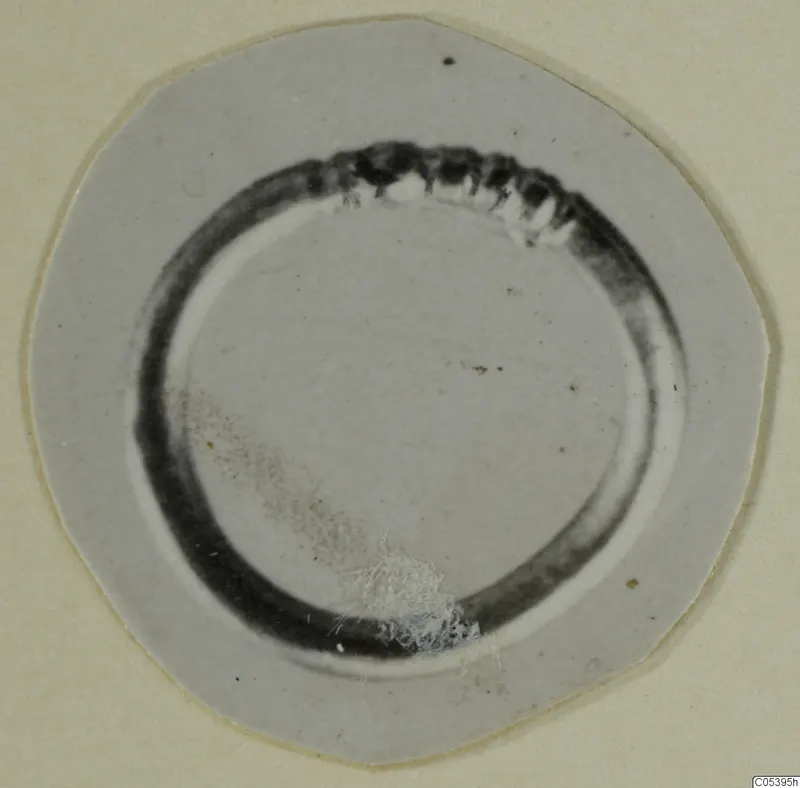 Pale disc with a dark ring-shaped object beside it, from Marion