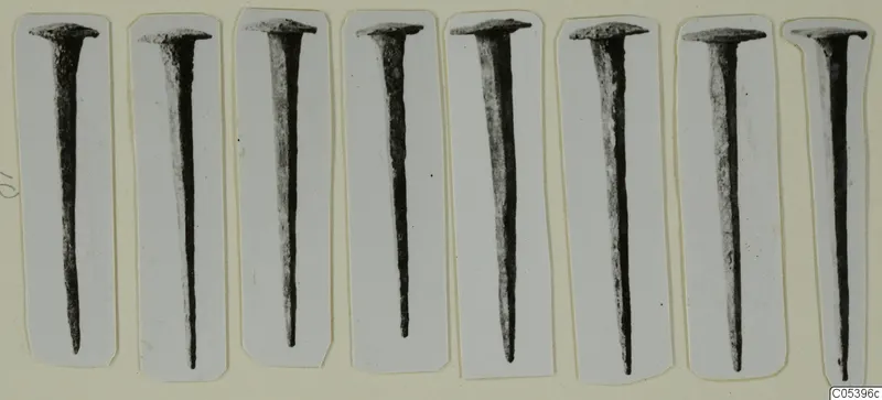 Eight corroded nails from Marion, each with a flat head, mounted on separate white paper strips.