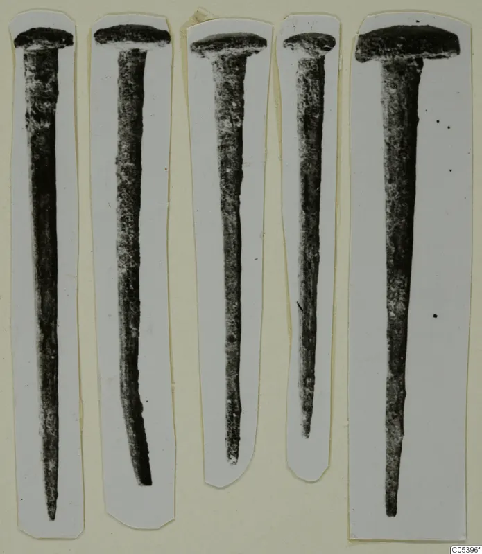 Five iron nails, each mounted on its own white card strip, shown with their heads uppermost.