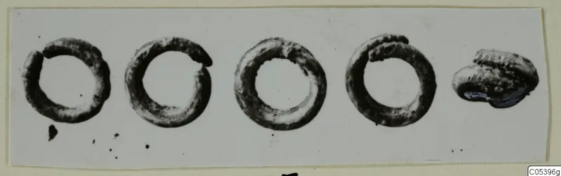 Four corroded rings and one irregular lump of metal lying in a row, from Marion.