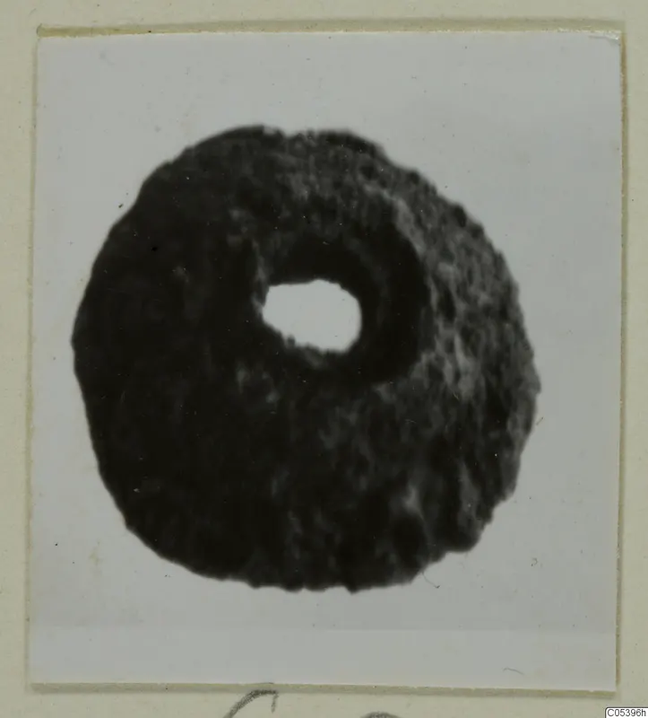 Bead from Marion: a dark, ring-shaped bead with a central hole, seen against a white background.