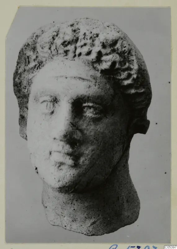 Head of a figure with short curled hair, broken off at the neck, photographed against a plain grey backdrop