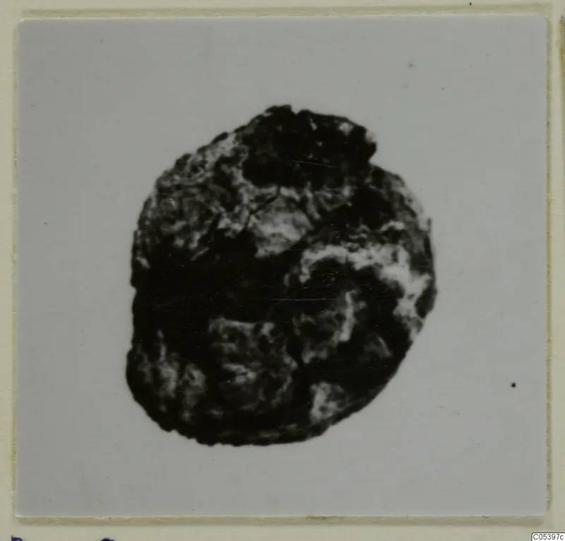 Corroded bronze nail-head from Marion, shown centred on a pale grey card