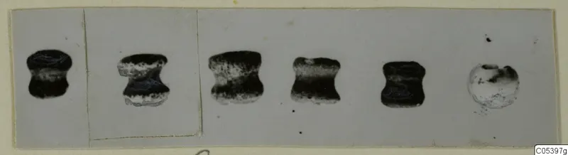 Six small bead-like objects from Tomb 9 at Marion, shown in a row on a pale card mount.