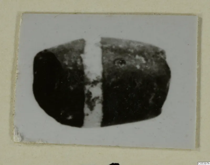 Small dark bead with a pale central band, from Marion Tomb 9, shown as a mounted print