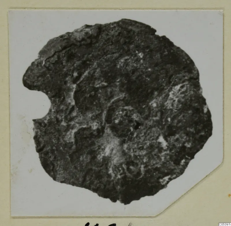 Corroded, irregular disc-shaped object from Marion, with a small rounded bump near its centre.