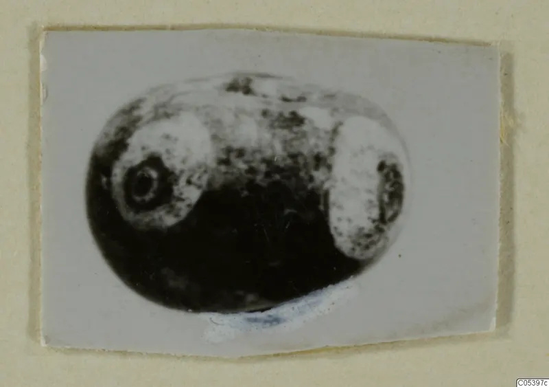 Small oval object with two pale round panels, one with a dark ring, from Marion Tomb 9
