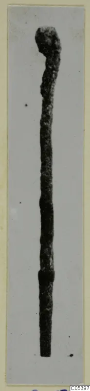 Corroded metal pin with a swollen head, shown upright on a mounted photographic card