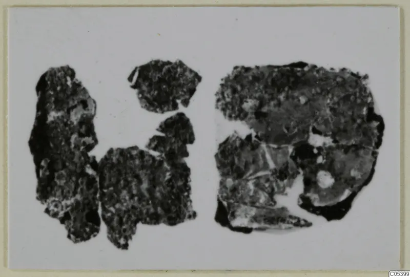 Several dark, corroded fragments from Marion, spread across a pale background.