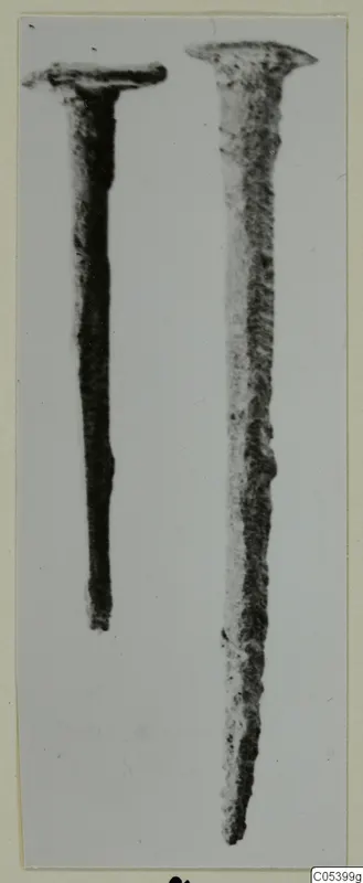 Two metal nails from Marion, shown upright side by side on a pale background.