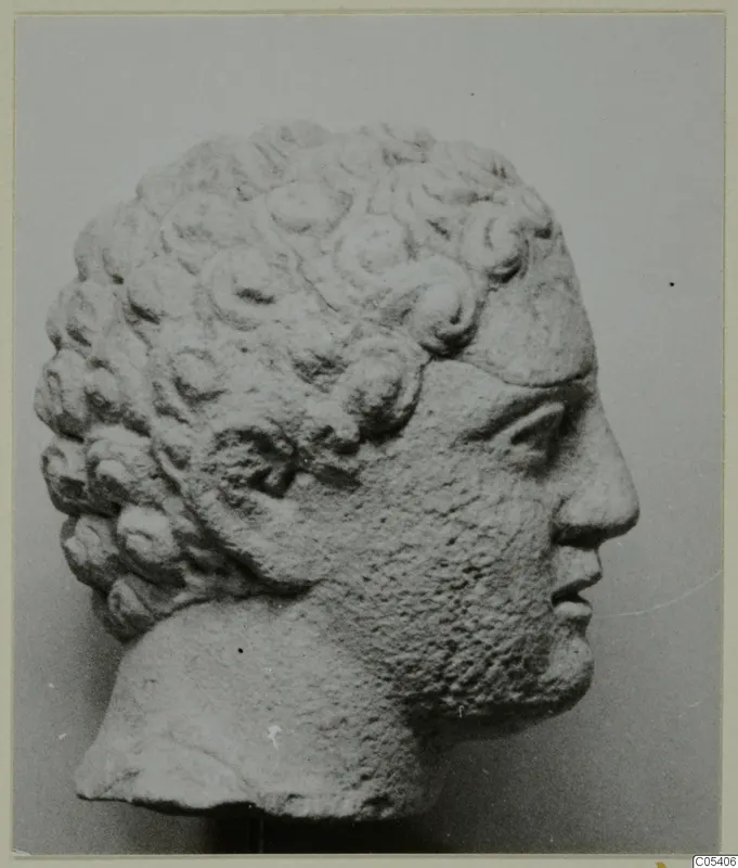 Carved head in profile facing right, with rows of tight curls over the hair and a rough-textured chin