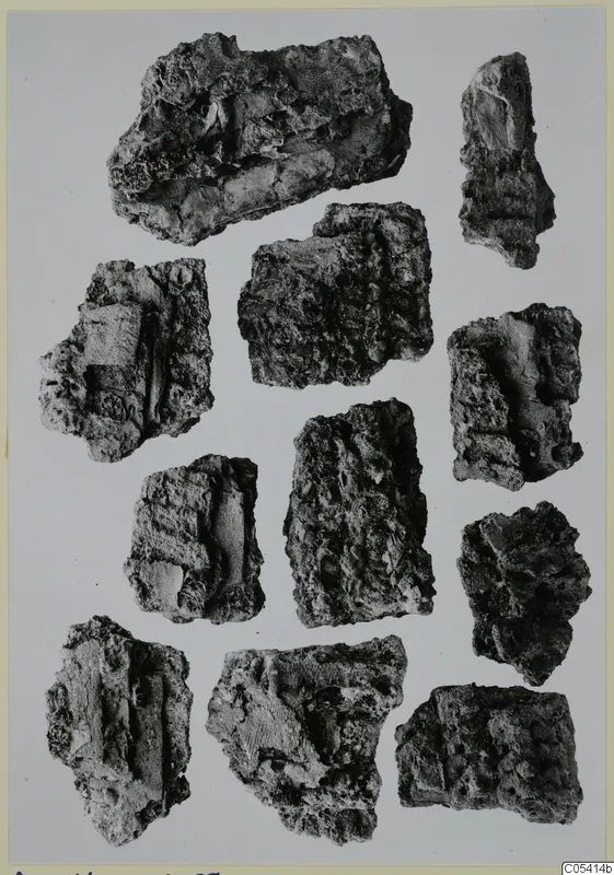 Corroded iron fragments of a mail shirt, laid out in rows on a pale background.