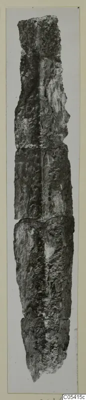 Long, narrow, heavily corroded metal object from Amathus, photographed upright on a card mount.