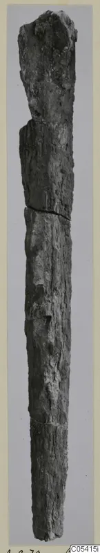 Long, narrow corroded iron dagger standing upright against a plain grey background
