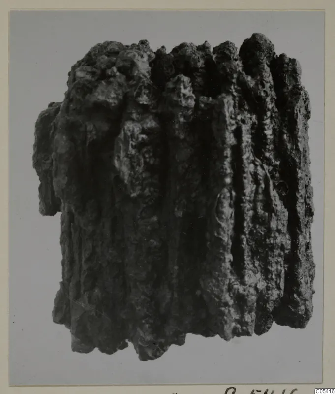 Iron weapons from Amathus, shown as one heavily corroded, ridged metal mass