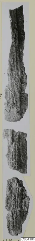 Three corroded iron fragments, long and ridged, photographed side by side on a grey card mount.