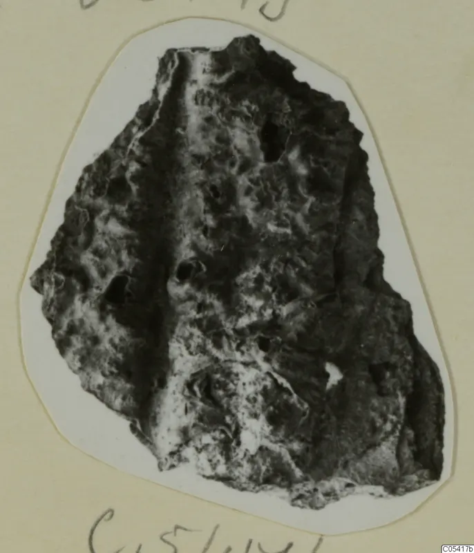 Irregular pitted fragment with dark and pale encrusted surface, mounted on a white card; find from Amathus