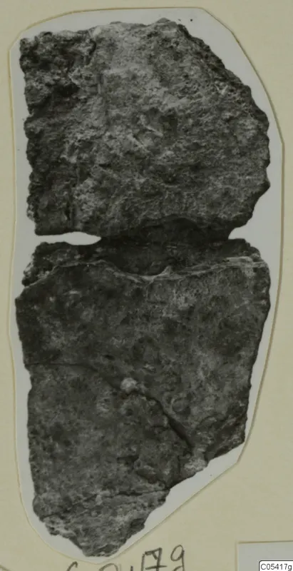 Two joined fragments of a rough, pitted grey object from Amathus, photographed on a mounted card