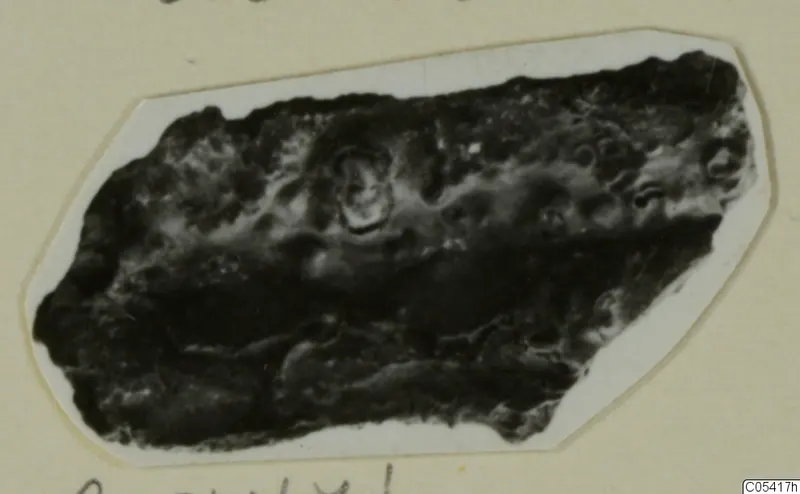Dark, encrusted fragment of an unidentified find from Amathus, shown on a mounted print.