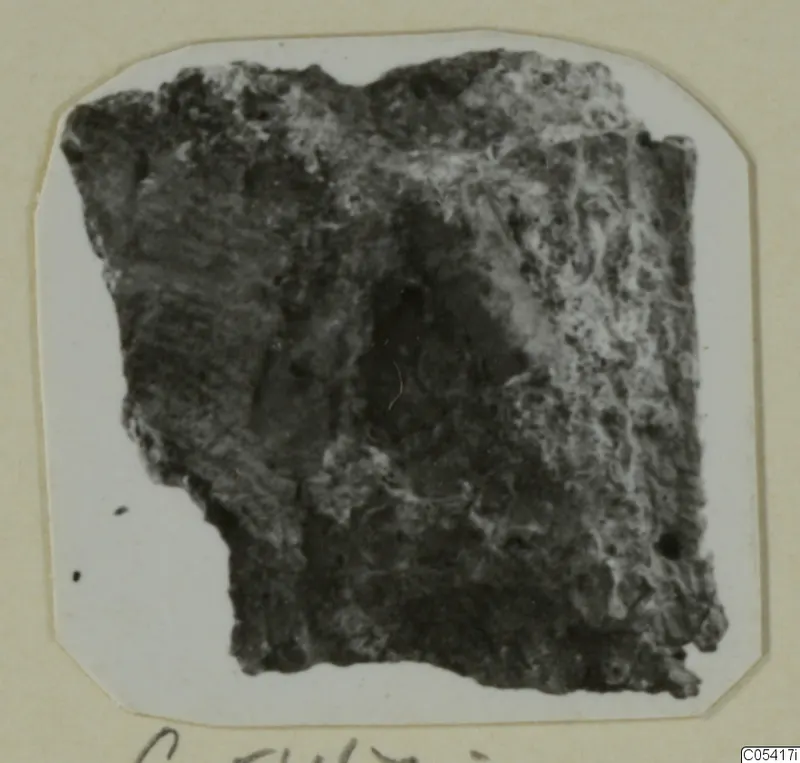 Dark, rough fragment from Amathus, tomb group 2-26, mounted on a white card with a handwritten label