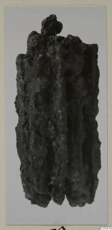 Corroded iron object from Amathus, elongated with a knobbed top and a ridged, crusted surface.