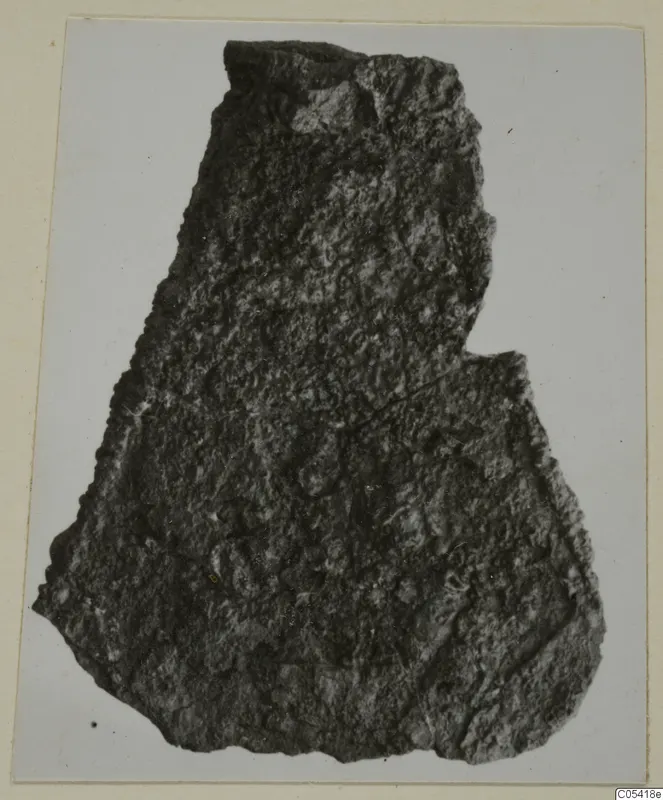 Corroded iron fragment from Amathus, photographed on a cream card mount