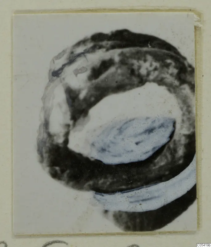 Silver ring from Marion Tomb 26, shown in close view with dark tarnish and pale highlights