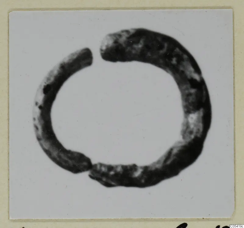 Open ring find from Marion, tombs 31–45, shown on a white card