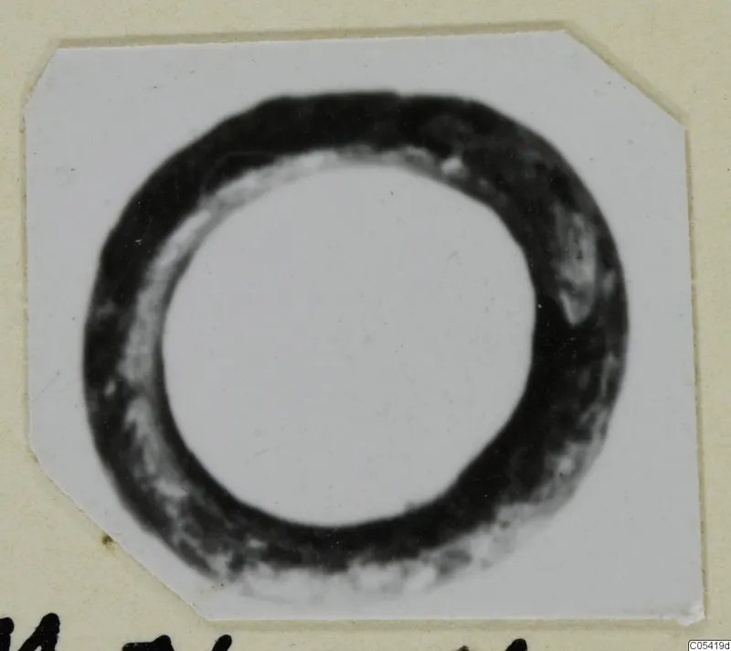 Silver ring-shaped object with a thick dark band, shown on a white card
