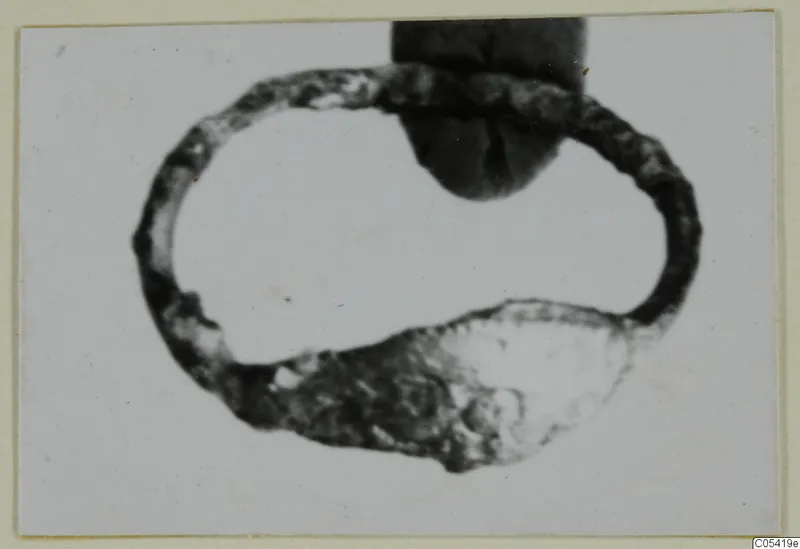 Silver loop-shaped find from Marion, photographed on a card mount
