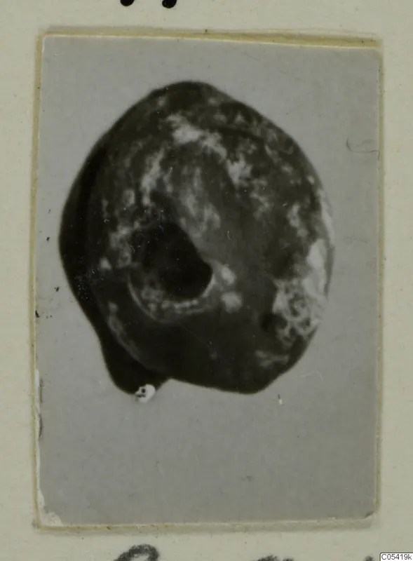 Small rounded dark stone object with a large off-centre opening, shown on a grey card mount.