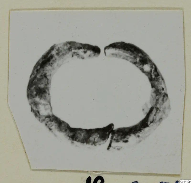 Ring from Marion, broken open at the top and bottom, dark and mottled in appearance.