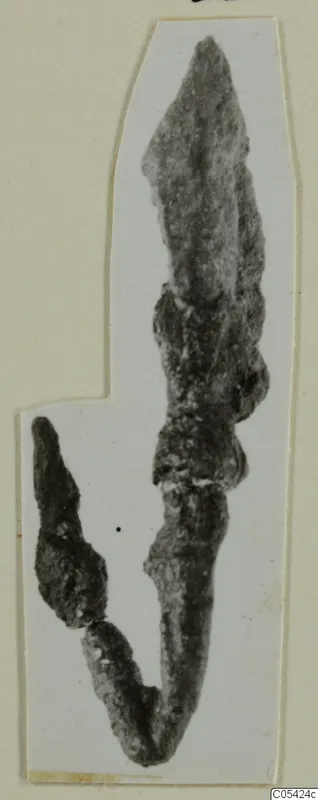 Two corroded iron arrowheads from Marion, tombs 31–45, shown on a mounted card.