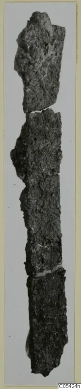 Corroded iron fragments, possibly tools, shown end to end in a vertical strip against a pale background