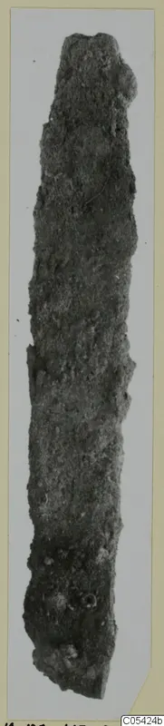 Long, narrow corroded iron tool from Marion, shown upright against a pale background.