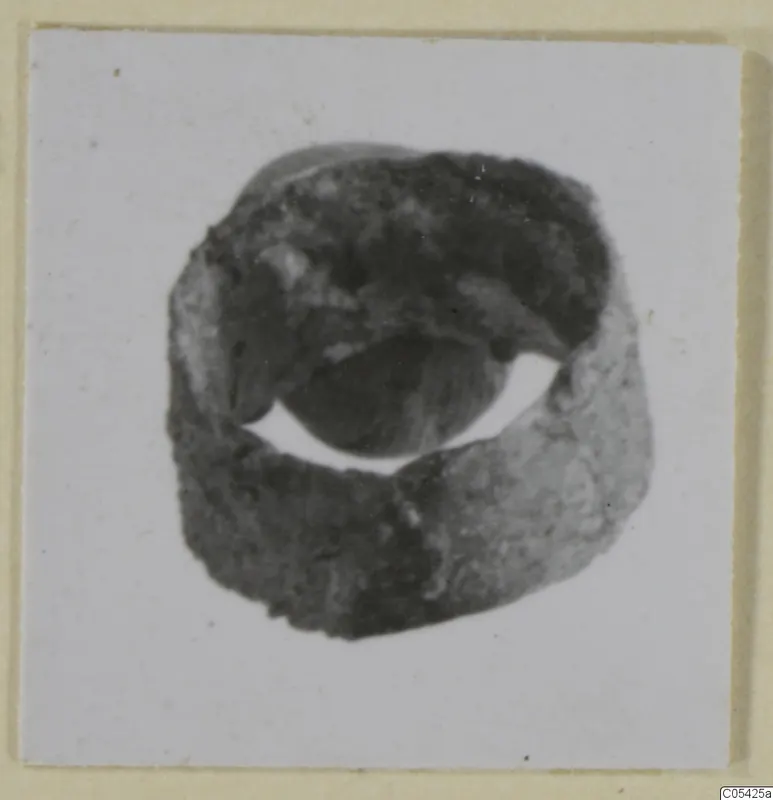 Bronze ring from Marion, Tomb 69, shown on a photograph card mount