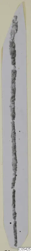 Bronze personal adornments from Marion Tomb 69: a long thin dark object on a pale card strip