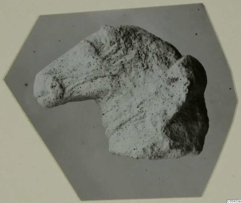 Limestone fragment of an animal head, probably a horse, from Mersinaki, facing left