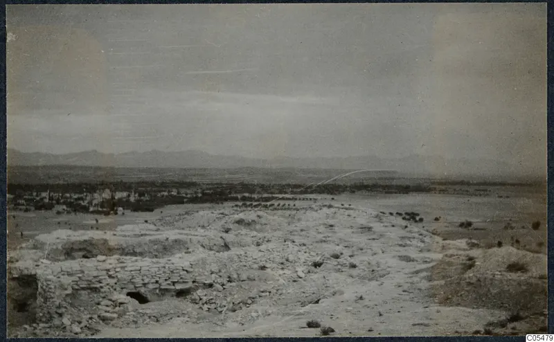 Excavated ground at Idalion with stone walls in the foreground, trees and a town beyond, and mountains on the horizon.