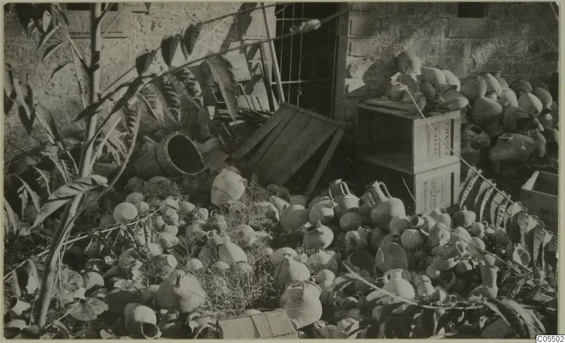 Large heap of pottery vessels on the ground in a yard, with wooden crates and a leafy plant beside a stone wall.