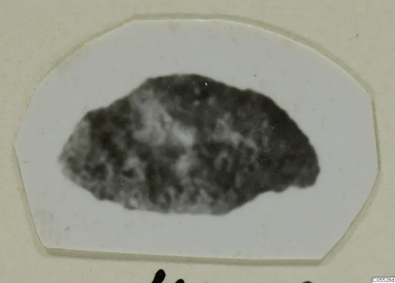 Fragment of an object from Marion, dark and mottled, shown on a white cut card mount.