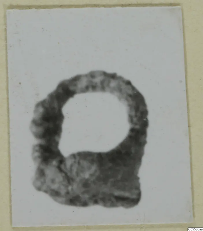Iron tool from Marion: a thick ring-shaped object with a rough, dark lower part, shown on a card mount.