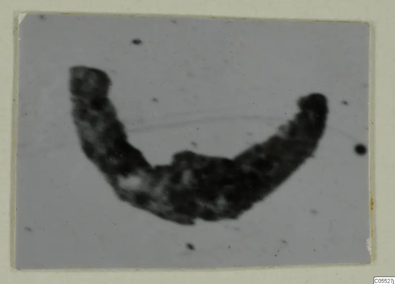 Blurred photograph of a dark, curved metal object, possibly silver, on a grey ground