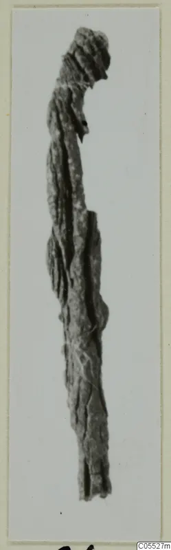 Encrusted fragment of an elongated object from Marion, with a curled upper end